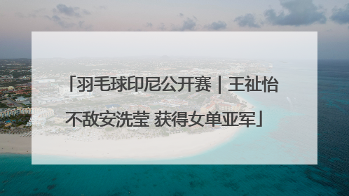 羽毛球印尼公开赛｜王祉怡不敌安洗莹 获得女单亚军