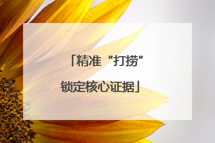 精准“打捞”锁定核心证据