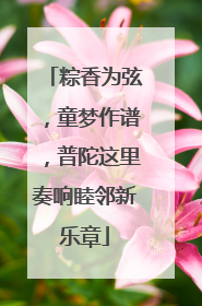 粽香为弦，童梦作谱，普陀这里奏响睦邻新乐章