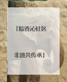 粽香沁社区 非遗共传承