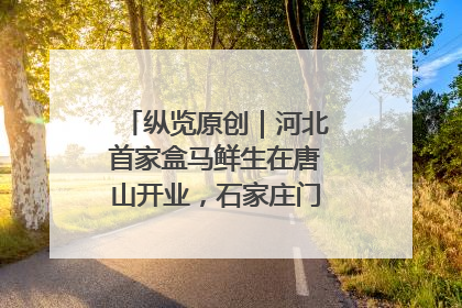 纵览原创｜河北首家盒马鲜生在唐山开业，石家庄门店预计8月开业