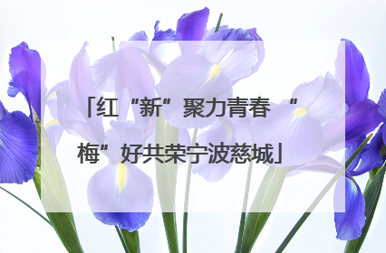 红“新”聚力青春 “梅”好共荣宁波慈城
