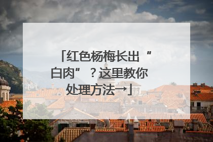 红色杨梅长出“白肉”？这里教你处理方法→