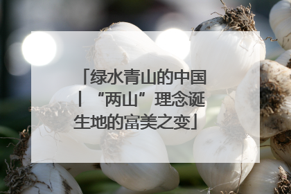 绿水青山的中国丨“两山”理念诞生地的富美之变