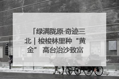 绿满陇原·奇迹三北｜梭梭林里种“黄金” 高台治沙致富很“从容”