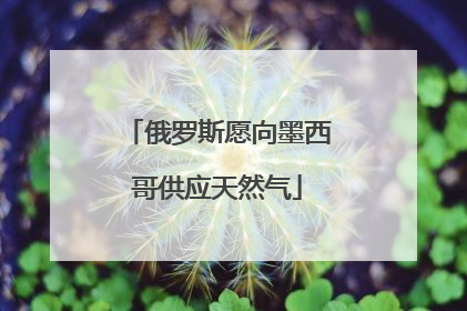 俄罗斯愿向墨西哥供应天然气