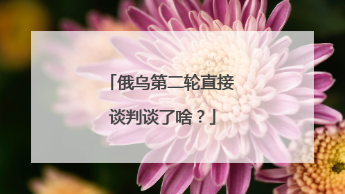 俄乌第二轮直接谈判谈了啥？