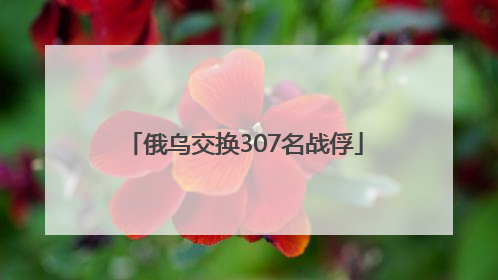 俄乌交换307名战俘