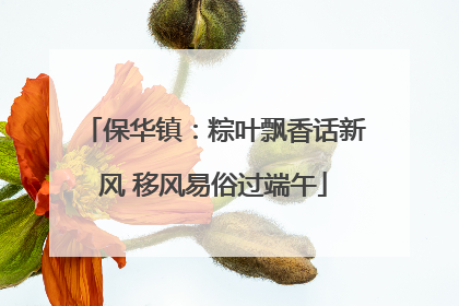 保华镇：粽叶飘香话新风 移风易俗过端午