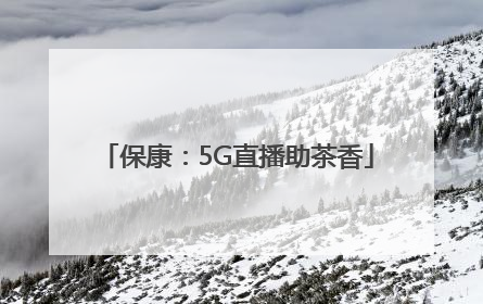 保康：5G直播助茶香
