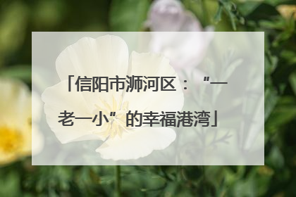 信阳市浉河区：“一老一小”的幸福港湾