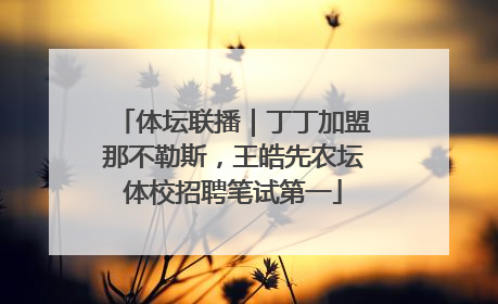 体坛联播｜丁丁加盟那不勒斯，王皓先农坛体校招聘笔试第一
