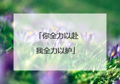 你全力以赴 我全力以护