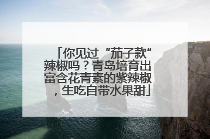 你见过“茄子款”辣椒吗？青岛培育出富含花青素的紫辣椒，生吃自带水果甜