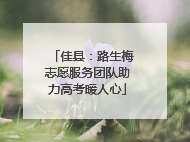 佳县：路生梅志愿服务团队助力高考暖人心