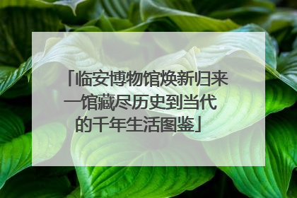 临安博物馆焕新归来 一馆藏尽历史到当代的千年生活图鉴