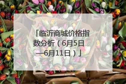 临沂商城价格指数分析（6月5日—6月11日）