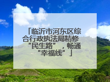 临沂市河东区综合行政执法局精修“民生路”，畅通“幸福线”