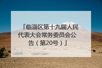临淄区第十九届人民代表大会常务委员会公告（第20号）
