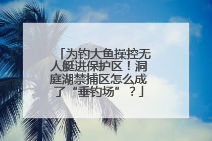 为钓大鱼操控无人艇进保护区！洞庭湖禁捕区怎么成了“垂钓场”？