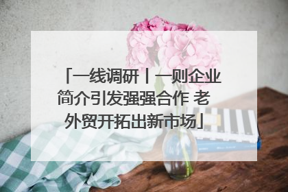一线调研丨一则企业简介引发强强合作 老外贸开拓出新市场