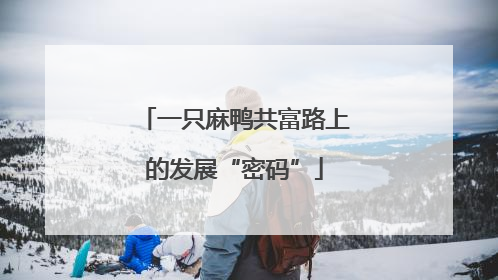 一只麻鸭共富路上的发展“密码”