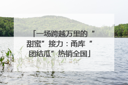 一场跨越万里的“甜蜜”接力：甬库“团结瓜”热销全国