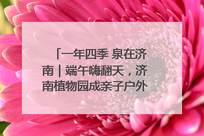 一年四季 泉在济南｜端午嗨翻天，济南植物园成亲子户外热门打卡地