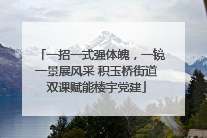 一招一式强体魄，一镜一景展风采 积玉桥街道双课赋能楼宇党建