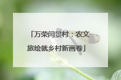 万荣闫景村：农文旅绘就乡村新画卷