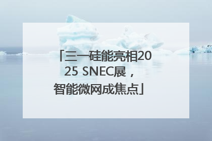 三一硅能亮相2025 SNEC展，智能微网成焦点