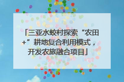 三亚水蛟村探索“农田+”耕地复合利用模式，开发农旅融合项目