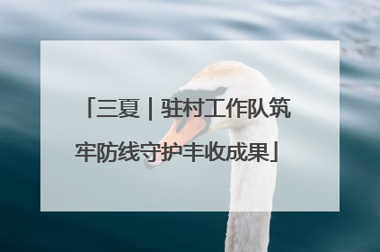 三夏｜驻村工作队筑牢防线守护丰收成果