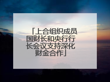 上合组织成员国财长和央行行长会议支持深化财金合作