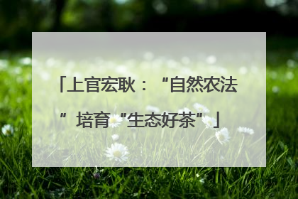 上官宏耿：“自然农法”培育“生态好茶”