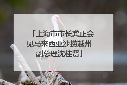 上海市市长龚正会见马来西亚沙捞越州副总理沈桂贤