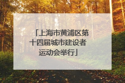 上海市黄浦区第十四届城市建设者运动会举行