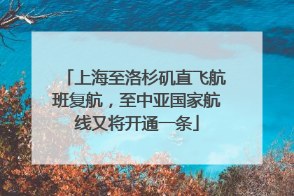 上海至洛杉矶直飞航班复航，至中亚国家航线又将开通一条