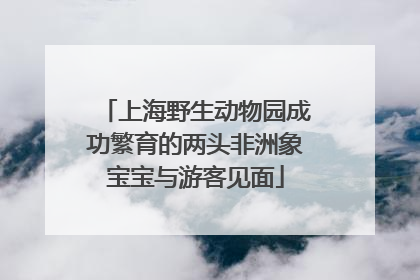 上海野生动物园成功繁育的两头非洲象宝宝与游客见面