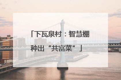 下瓦泉村：智慧棚种出“共富菜”