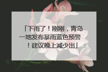 下雨了！刚刚，青岛一地发布暴雨蓝色预警！建议晚上减少出