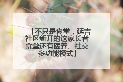 不只是食堂，延吉社区新开的这家长者食堂还有医养、社交多功能模式