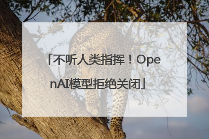 不听人类指挥！OpenAI模型拒绝关闭