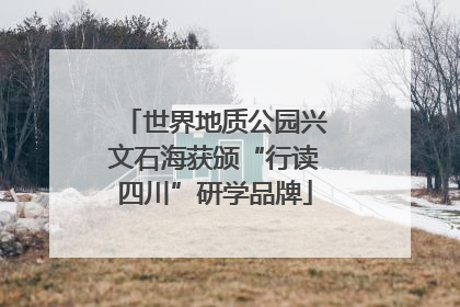 世界地质公园兴文石海获颁“行读四川”研学品牌