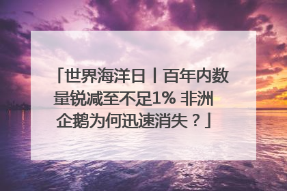 世界海洋日丨百年内数量锐减至不足1% 非洲企鹅为何迅速消失？