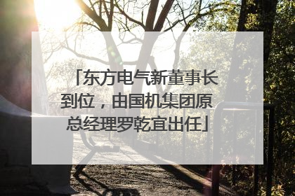 东方电气新董事长到位，由国机集团原总经理罗乾宜出任