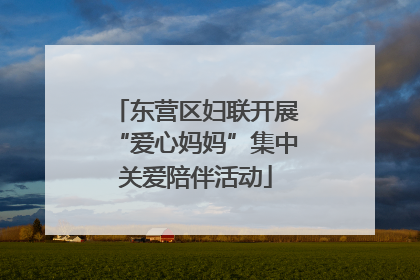 东营区妇联开展“爱心妈妈”集中关爱陪伴活动
