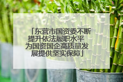 东营市国资委不断提升依法履职水平 为国资国企高质量发展提供坚实保障