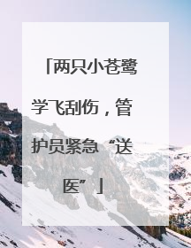 两只小苍鹭学飞刮伤，管护员紧急“送医”