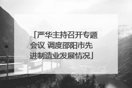 严华主持召开专题会议 调度邵阳市先进制造业发展情况